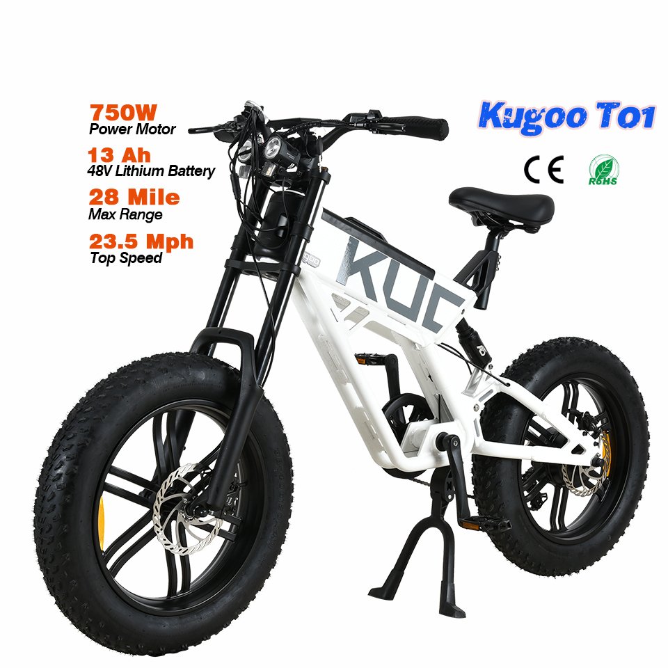 Hot Sale Kugoo T01 high quality e bike customized 13Ah electric bike 48V 750W electric bicycle mountain bike