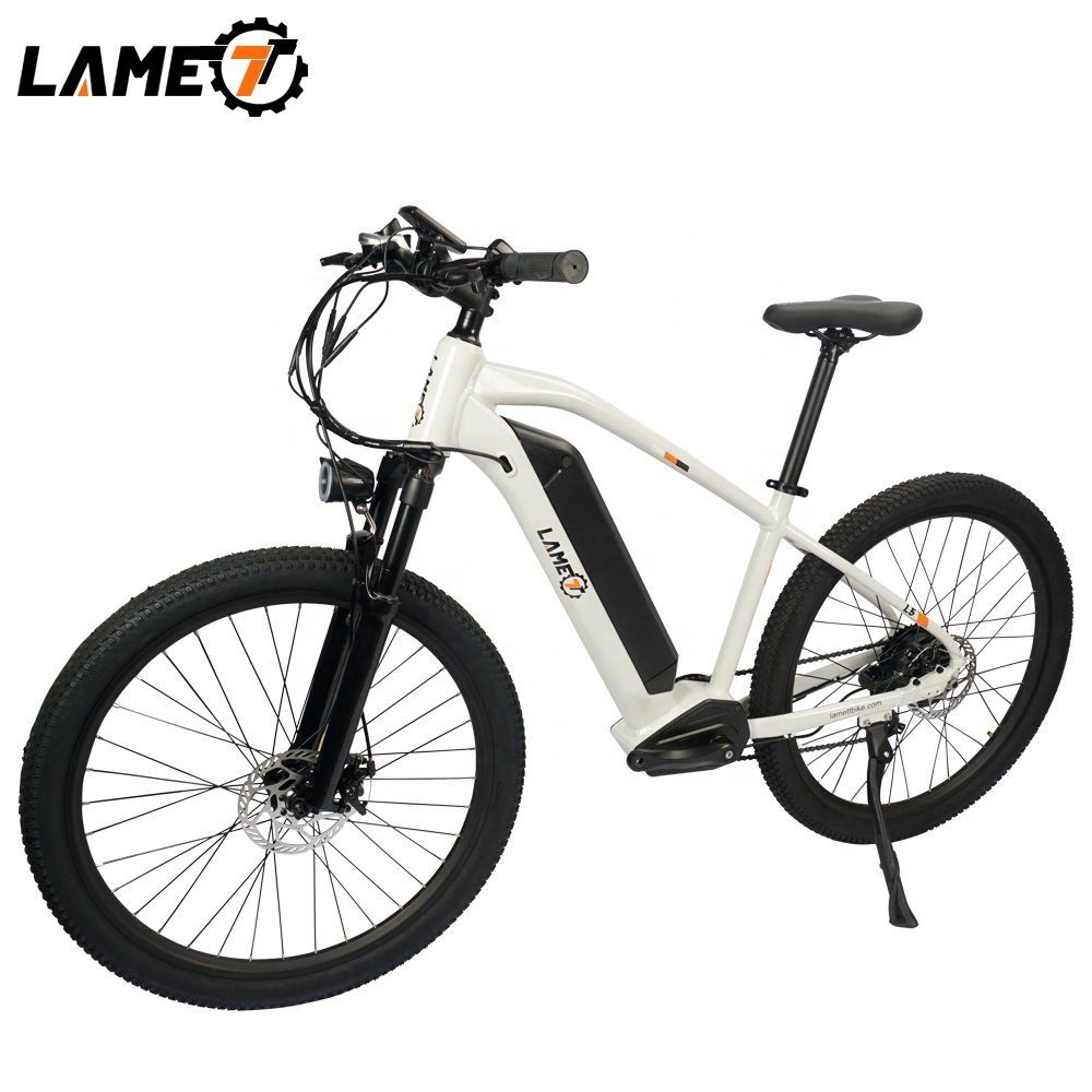 2023 New Hot Sale Electric Bicycle US Warehouse Electric City Bike 48V 750W Folding Electric Scooter Snow Bicycle