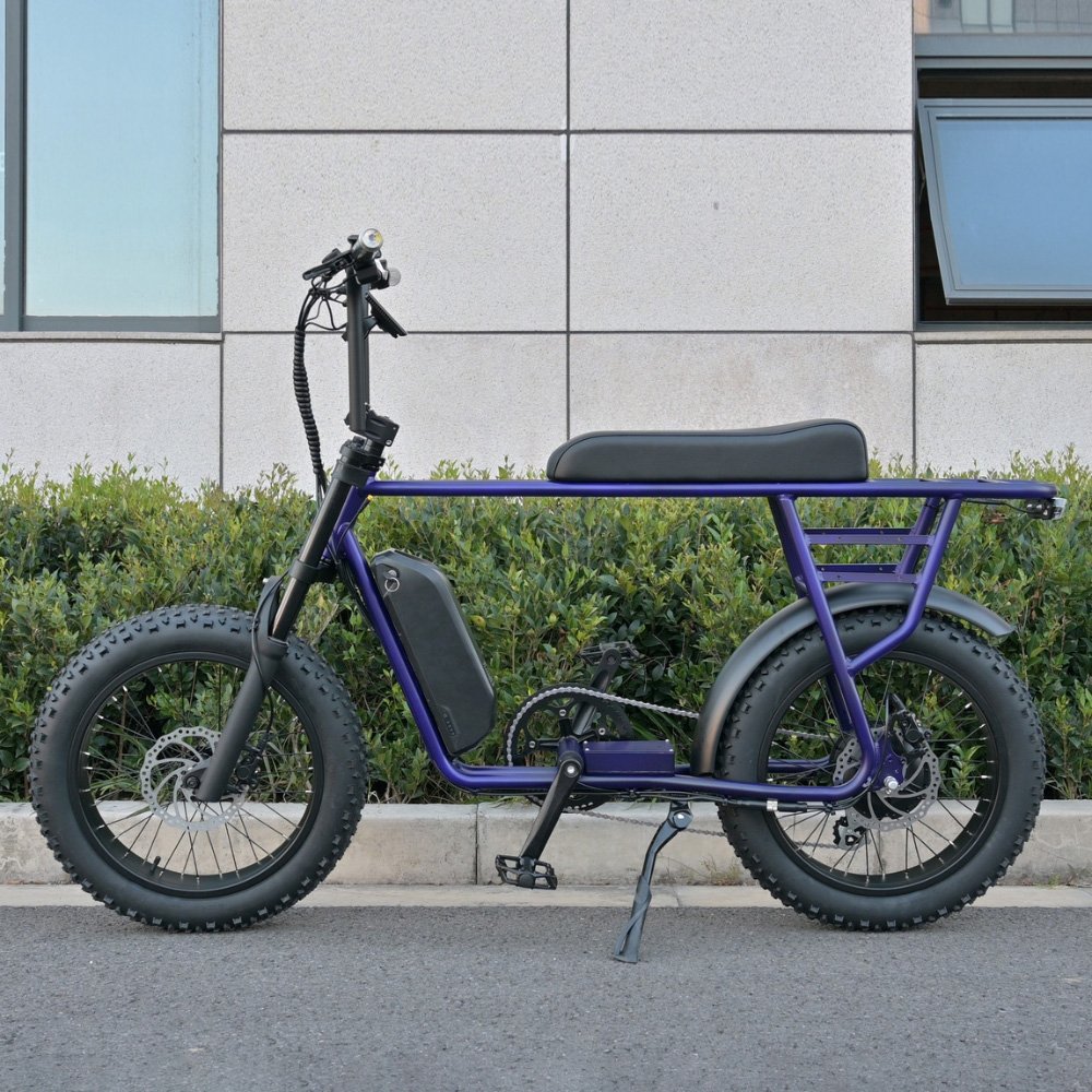 2023 Hot Sale Mario Fat Tire 1000w Electric Bicycle City Ebike Electric Bike For Adults