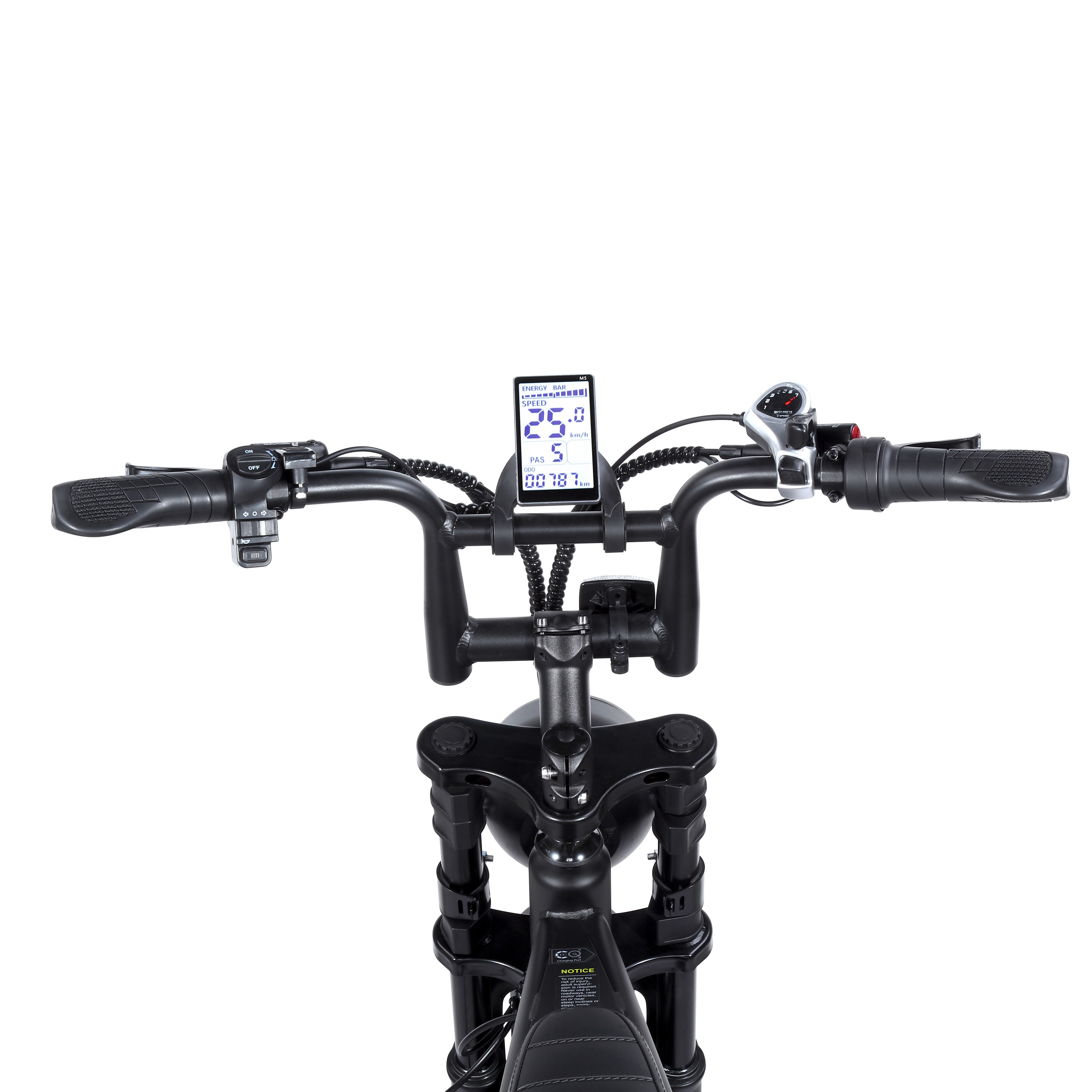2024 hot sale factory price 48V 250W/750W/500W/1000W electric bike electric bicycle 20inch fat tire electric mountain bike