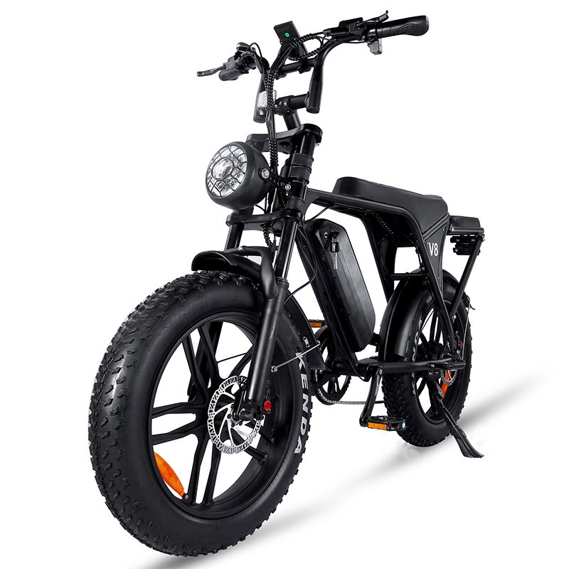 2024 hot sale factory price 48V 250W/750W/500W/1000W electric bike electric bicycle 20inch fat tire electric mountain bike