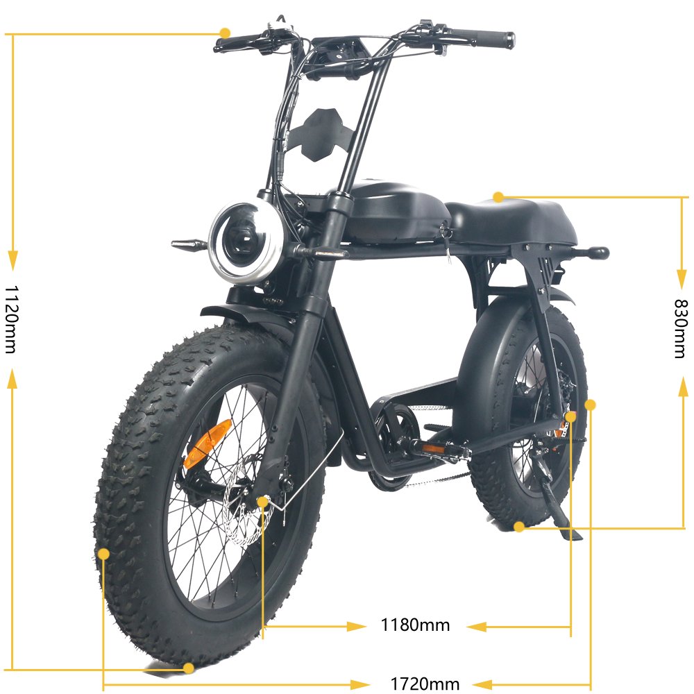 Electric City Bike 20inch Snow Tire MTB Cycle Steel Frame Mountain Bicycles Vintage Fat Tire Mountain Bike for Men