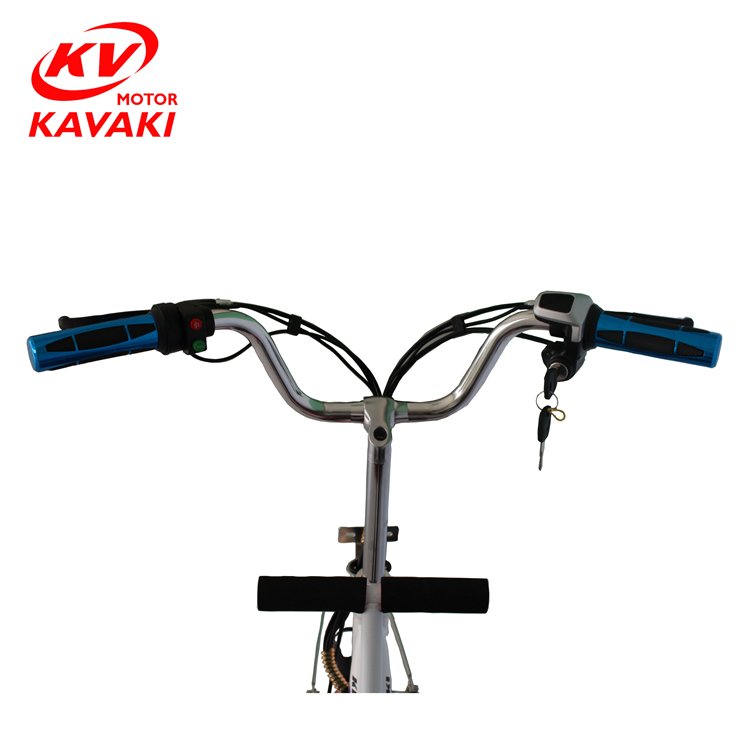 China fast charging Malaysia light weight lithium 48v 250 3 seat family electric bike philippines cheap