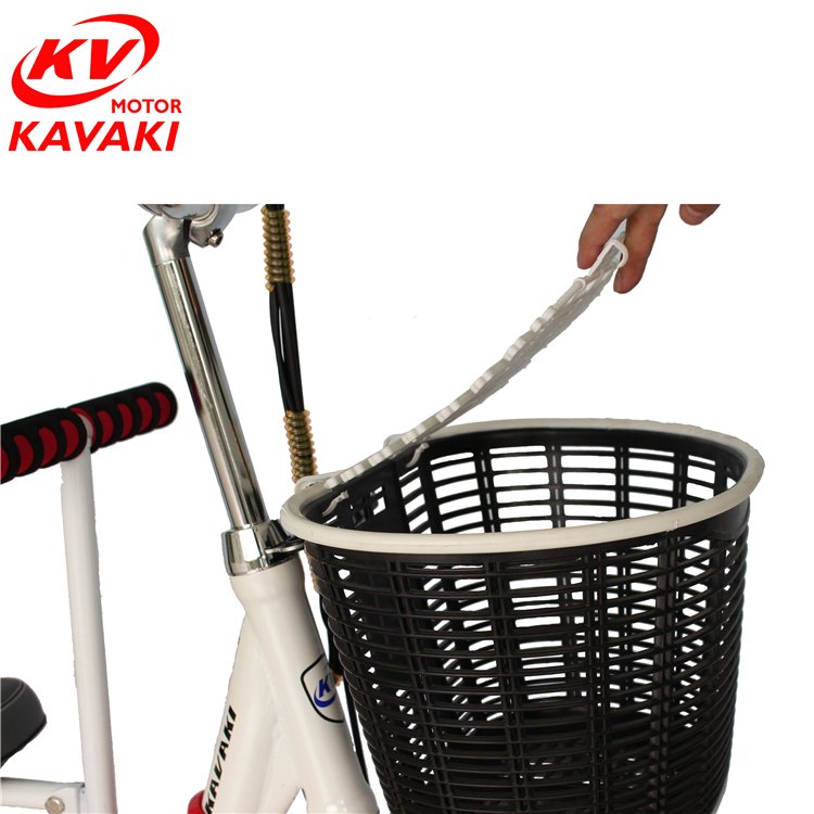 China fast charging Malaysia light weight lithium 48v 250 3 seat family electric bike philippines cheap