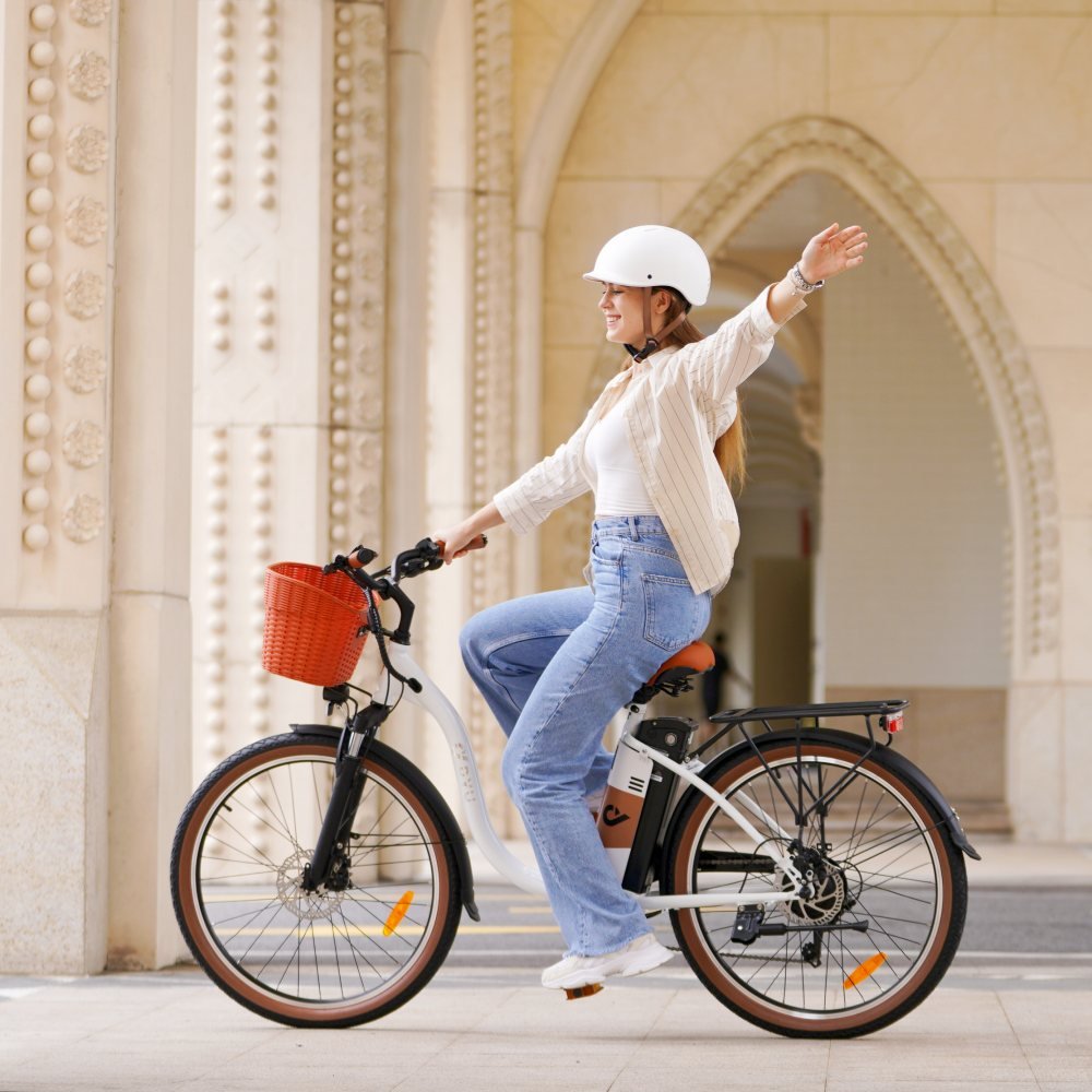 2024 NEW arrival DYU C6 PRO 26 Inch 500w motor stealth bomber ebike e bicycle electrical cargo dirt electric city bike for adult