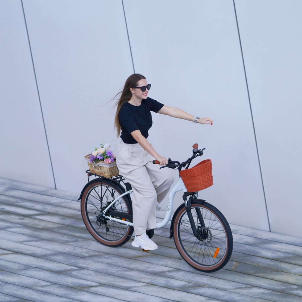 2024 NEW arrival DYU C6 PRO 26 Inch 500w motor stealth bomber ebike e bicycle electrical cargo dirt electric city bike for adult
