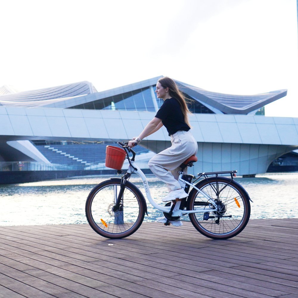 2024 NEW arrival DYU C6 PRO 26 Inch 500w motor stealth bomber ebike e bicycle electrical cargo dirt electric city bike for adult