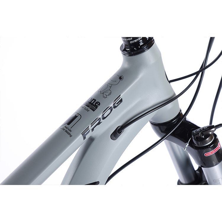 Large Stock mtb bike 29 inch full suspension 12 speed santa cruz mountain bike for men