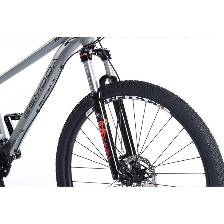 Large Stock mtb bike 29 inch full suspension 12 speed santa cruz mountain bike for men