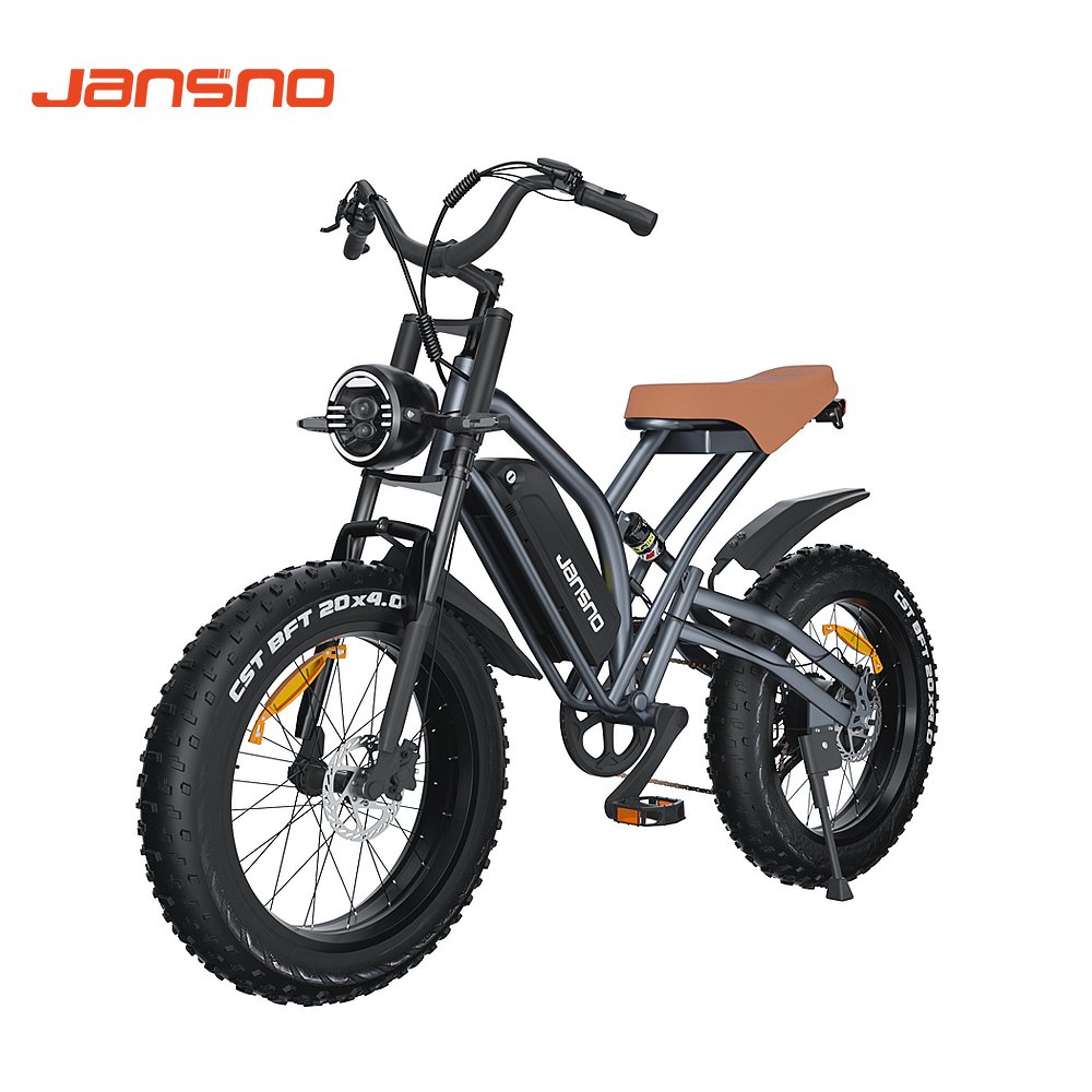 US EU Warehouse Drop Shipping 750W 48V 750W General Urban Step Through Electric City Bike