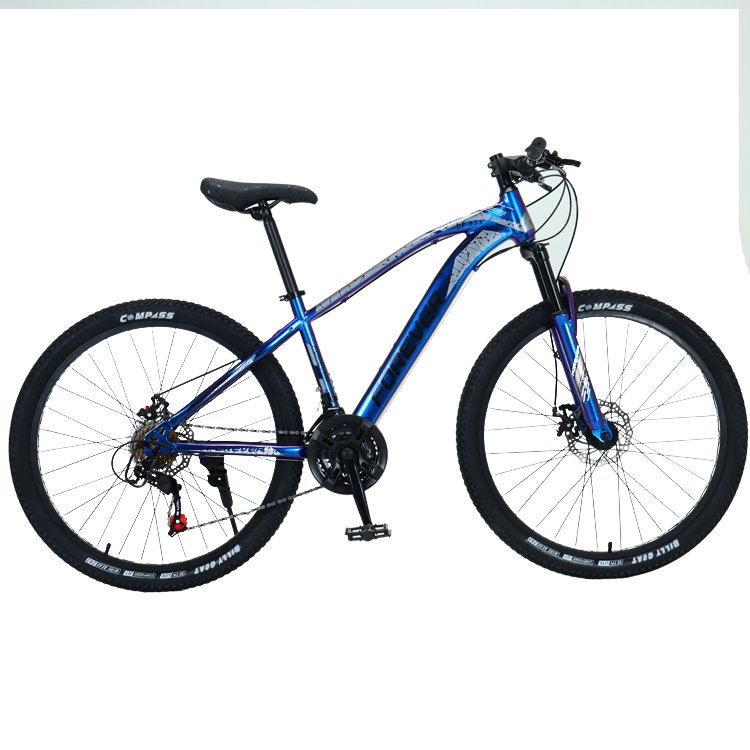 wholesale china Customized cheap 21 24 27 30 Speed 20 26 29 inchendurance bikes mtb mountain bike