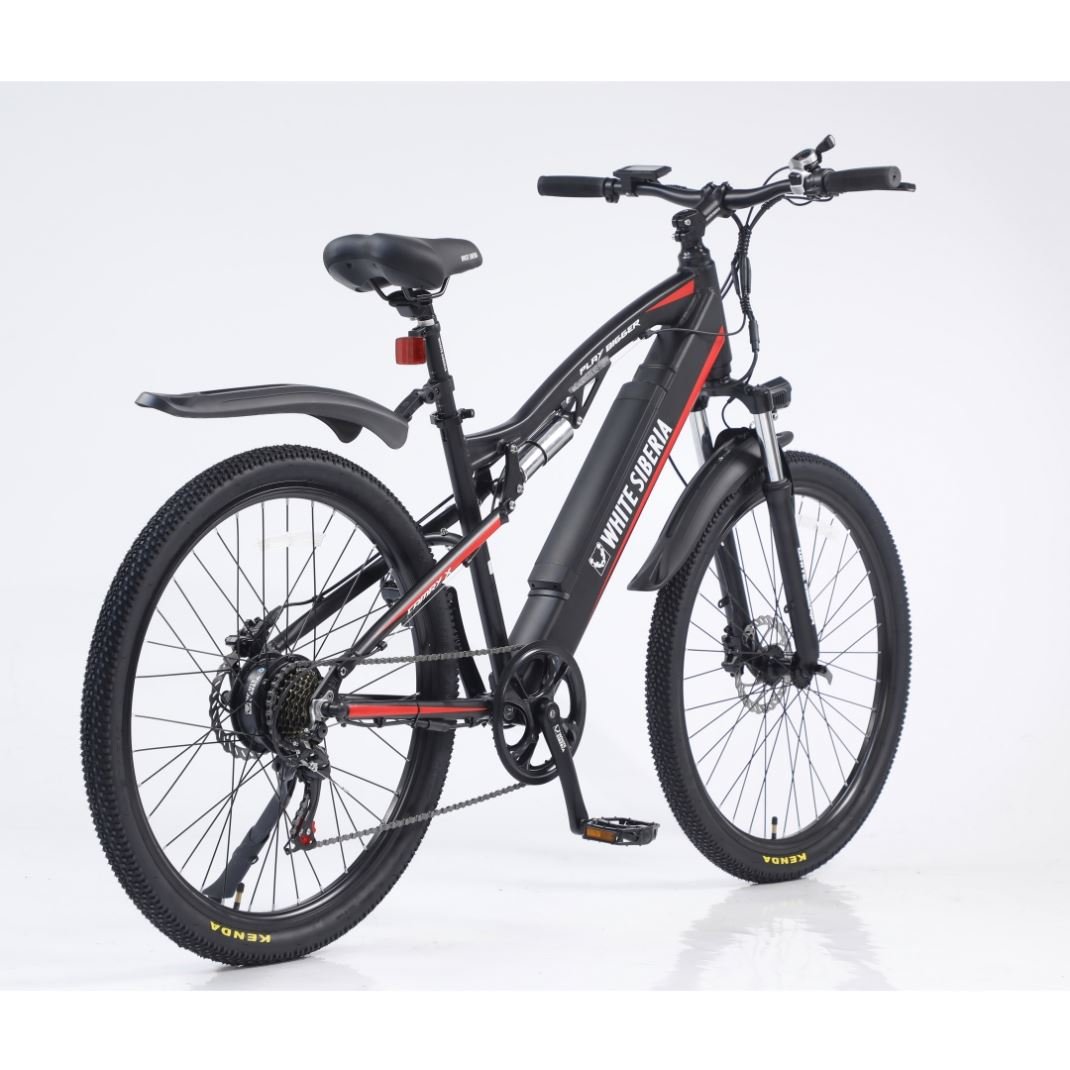 customized logo/package electric bike 48V 250W Motor Electric Bicycles Steel Frame Lithium Battery Electric mountain Bike