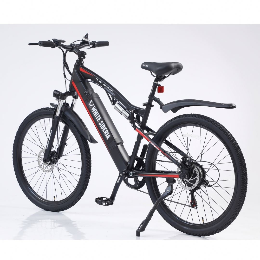 customized logo/package electric bike 48V 250W Motor Electric Bicycles Steel Frame Lithium Battery Electric mountain Bike