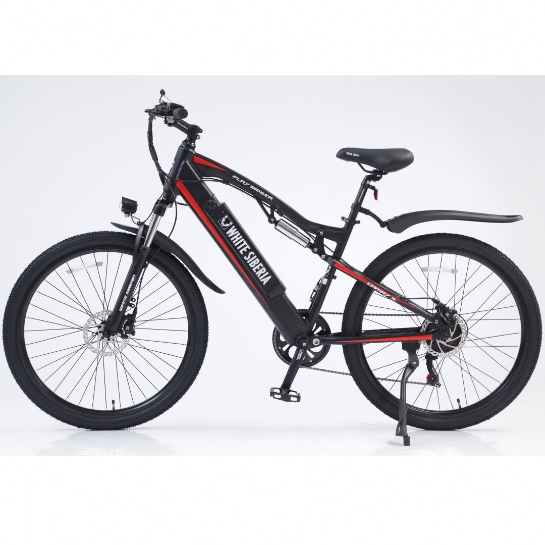 customized logo/package electric bike 48V 250W Motor Electric Bicycles Steel Frame Lithium Battery Electric mountain Bike