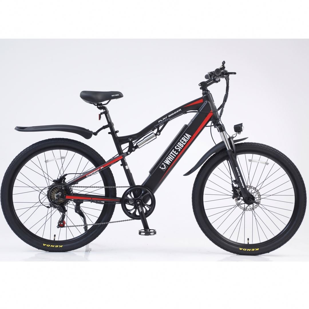 customized logo/package electric bike 48V 250W Motor Electric Bicycles Steel Frame Lithium Battery Electric mountain Bike