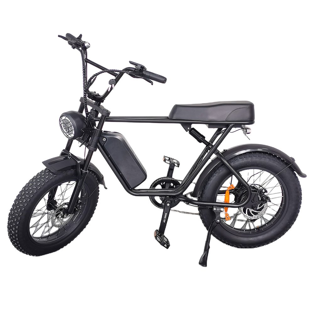 Powerful 1000W 55km/h 48v Moto Offroad off Road Motor Fat Tire E-bike Ebike E Hybrid Mountain City Electric Bike Bicycle Adults