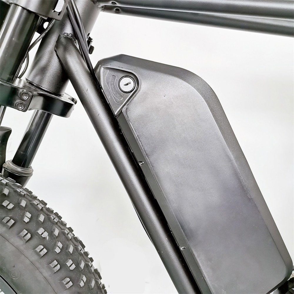 Powerful 1000W 55km/h 48v Moto Offroad off Road Motor Fat Tire E-bike Ebike E Hybrid Mountain City Electric Bike Bicycle Adults