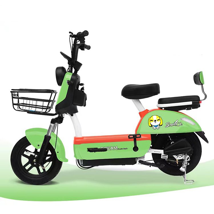 New Model Y2-HN Customizable Ebike China Wholesales 2 seat 48v Electric Bike Electric Bicycle for Adult with Electric City Bike