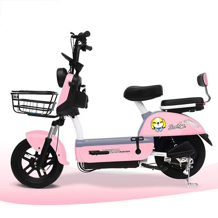 New Model Y2-HN Customizable Ebike China Wholesales 2 seat 48v Electric Bike Electric Bicycle for Adult with Electric City Bike