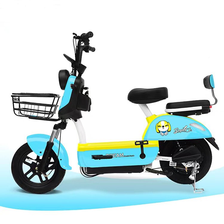 New Model Y2-HN Customizable Ebike China Wholesales 2 seat 48v Electric Bike Electric Bicycle for Adult with Electric City Bike