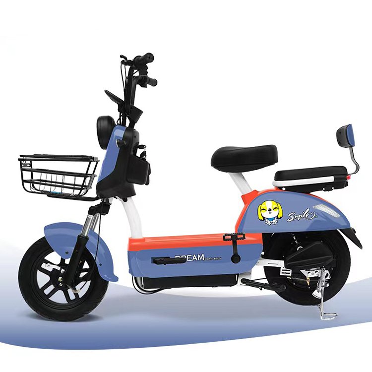 New Model Y2-HN Customizable Ebike China Wholesales 2 seat 48v Electric Bike Electric Bicycle for Adult with Electric City Bike