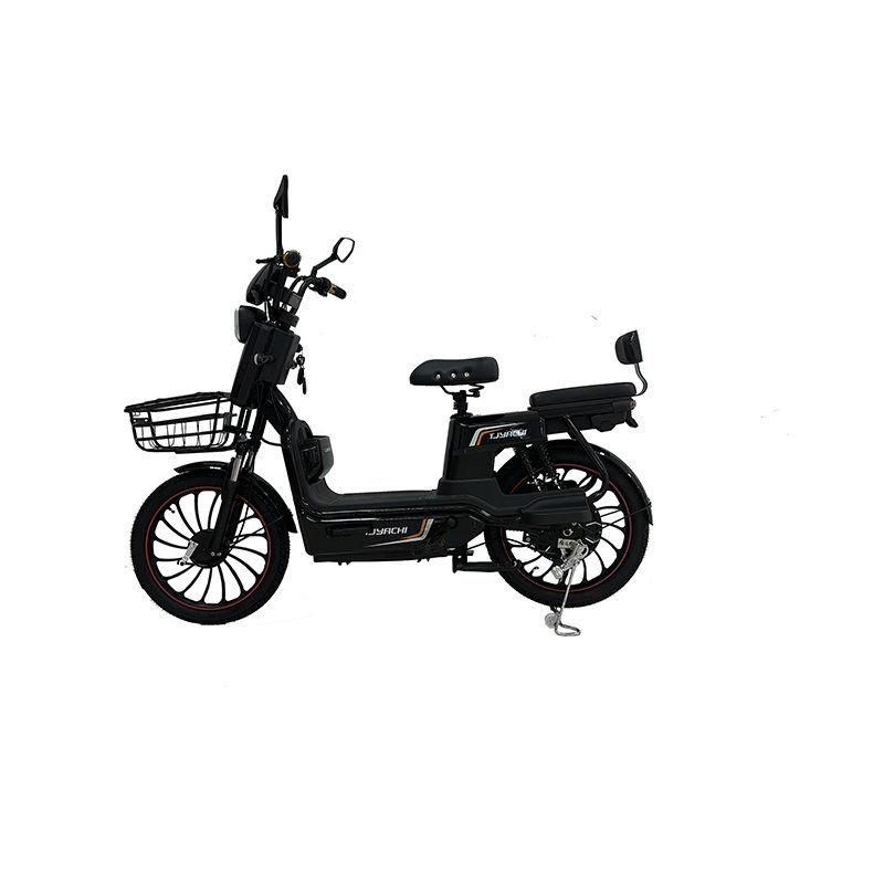 Wholesale 800W Adult Electric City Bike Quality Portable Scooter Integrated Battery Bluetooth Motor 2-Seater Electric Bicycle