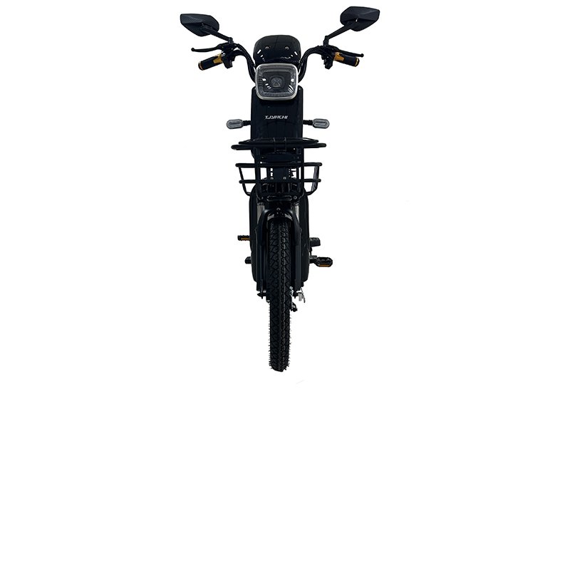 Wholesale 800W Adult Electric City Bike Quality Portable Scooter Integrated Battery Bluetooth Motor 2-Seater Electric Bicycle