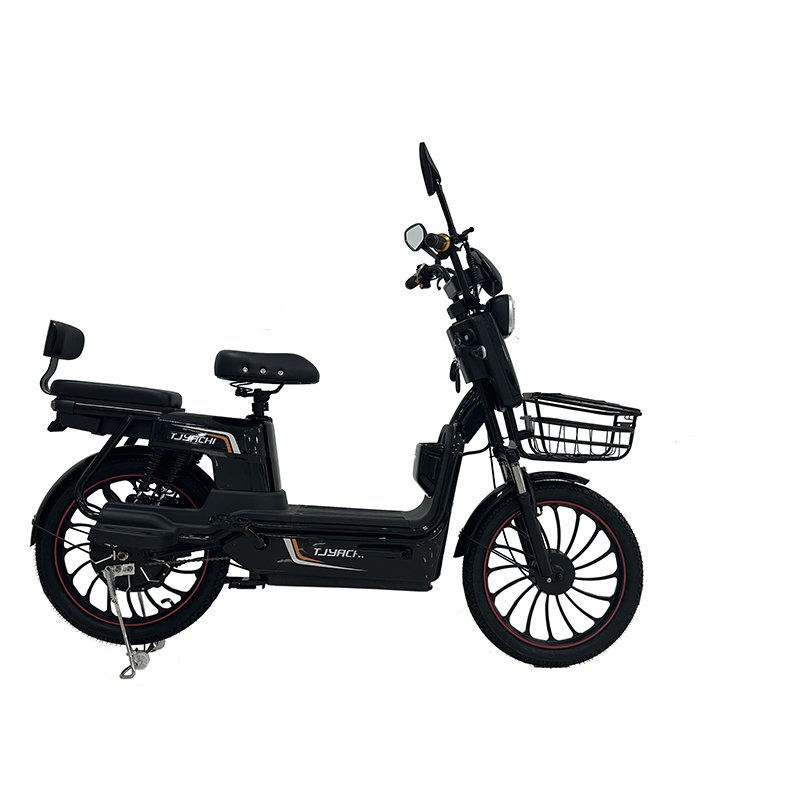 Wholesale 800W Adult Electric City Bike Quality Portable Scooter Integrated Battery Bluetooth Motor 2-Seater Electric Bicycle