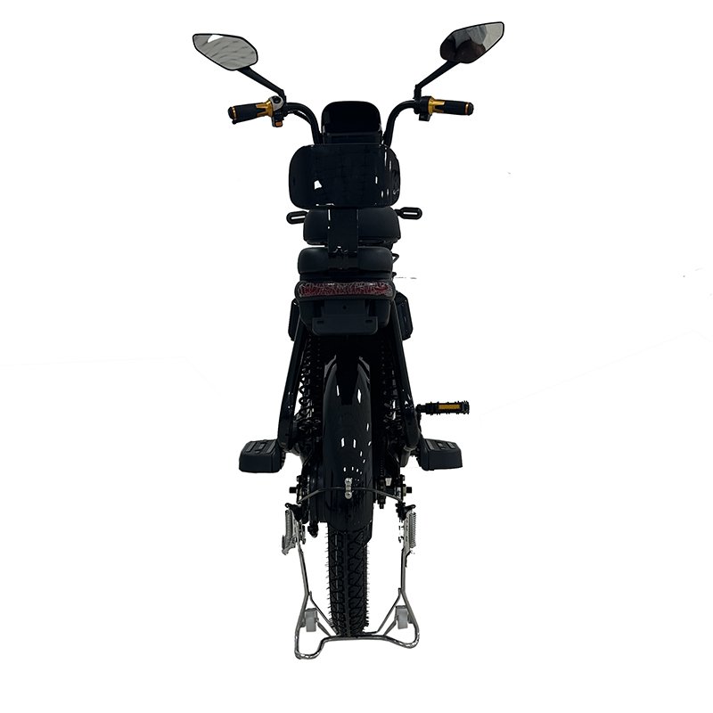 Wholesale 800W Adult Electric City Bike Quality Portable Scooter Integrated Battery Bluetooth Motor 2-Seater Electric Bicycle