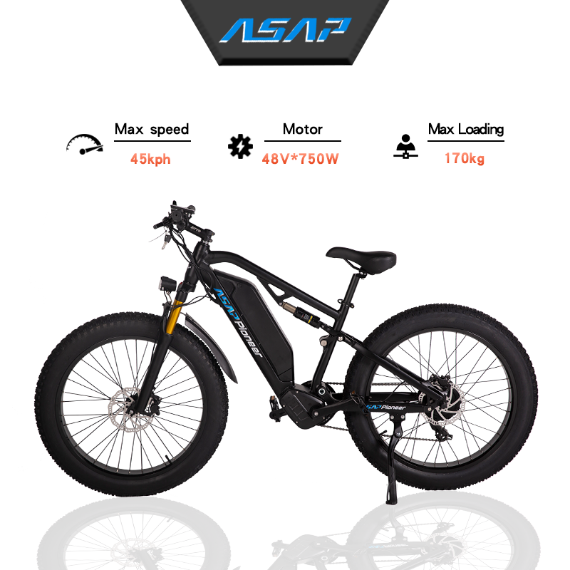 EU US Stock 750w Rear Motor Powerful Adult Electric City Bike