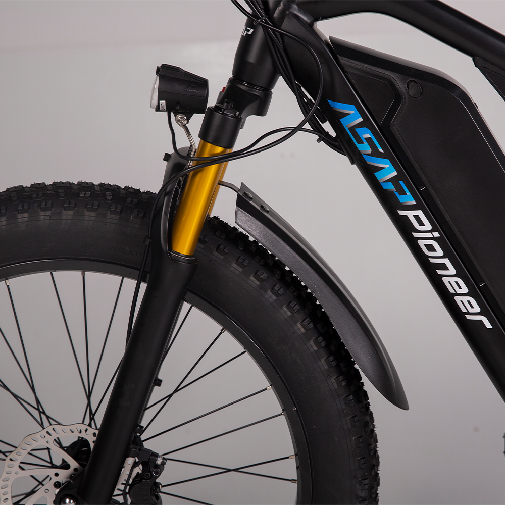 EU US Stock 750w Rear Motor Powerful Adult Electric City Bike