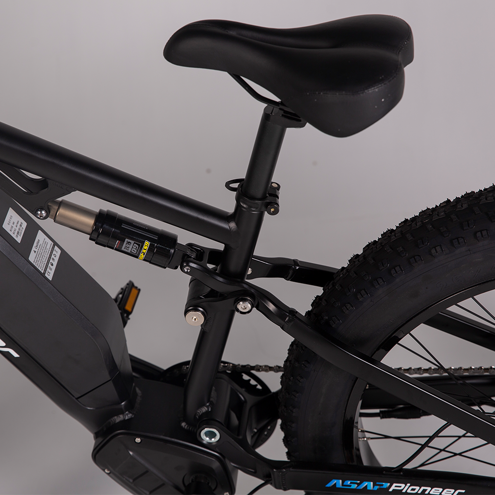 EU US Stock 750w Rear Motor Powerful Adult Electric City Bike