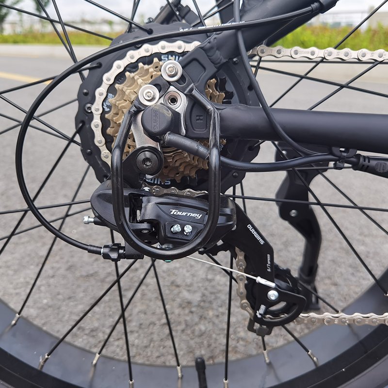High performance powerful dual 750w bafang motor 26 inch mountain electric bicycle e-bike with fat wheel