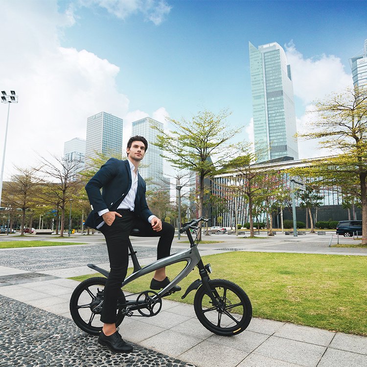 LEHE S1 Light Weight Electric Mountain Bike 36V 240W Ebike With Riding Modes