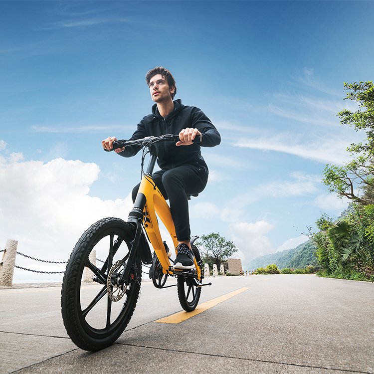 LEHE S1 Light Weight Electric Mountain Bike 36V 240W Ebike With Riding Modes