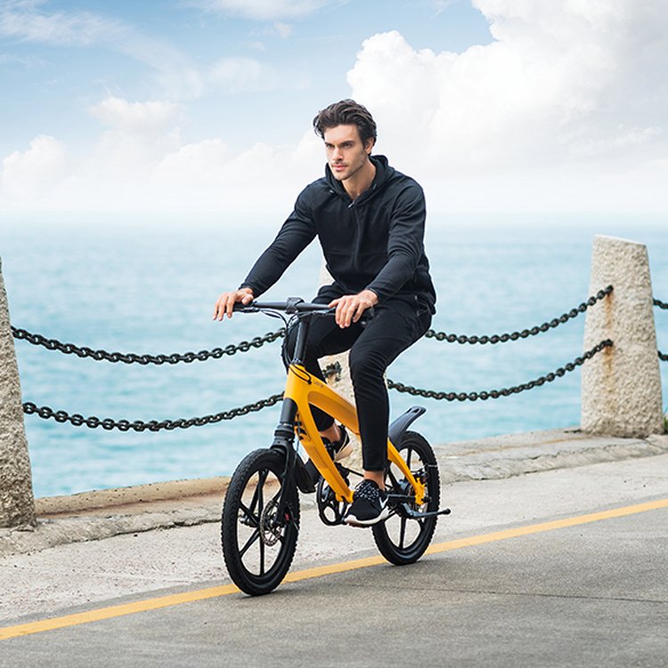 LEHE S1 Light Weight Electric Mountain Bike 36V 240W Ebike With Riding Modes