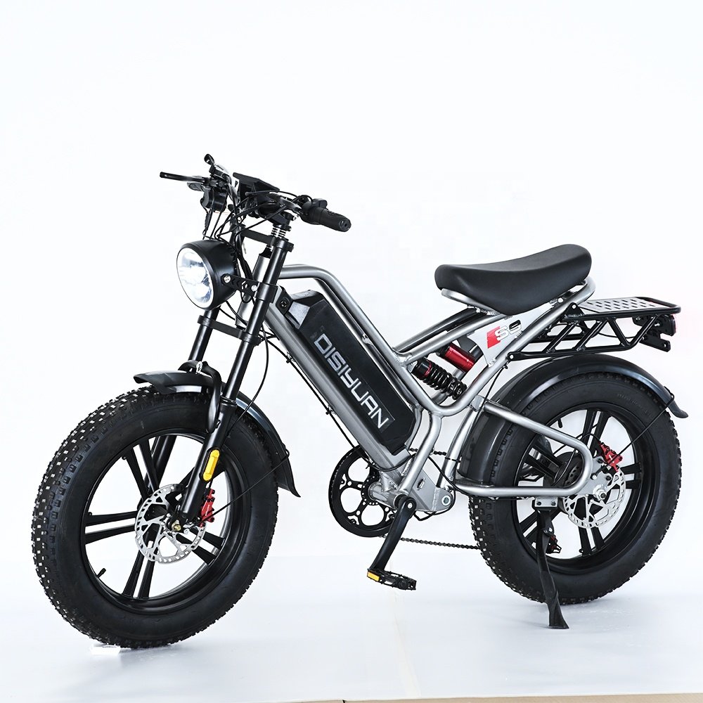 Disiyuan 20 inch Super S9 Cargo Mtb Electric Bike 48V Fat Tire Electric Bicycle V20 Bike Electric Mountain Bike 1000W 500W