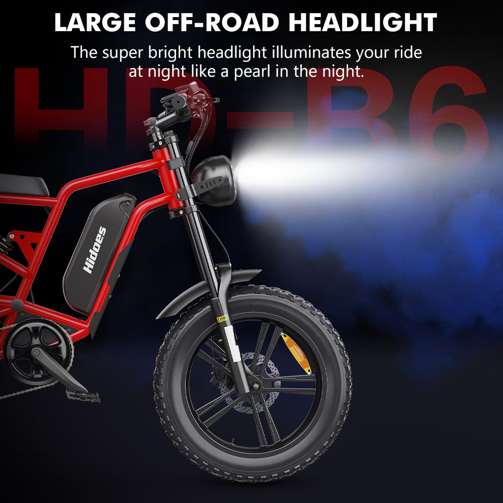 2024 newest Hidoes B6 20 inch 1200W ebike for sale electric Mountain bicycle electric Fat Tire Snow bike