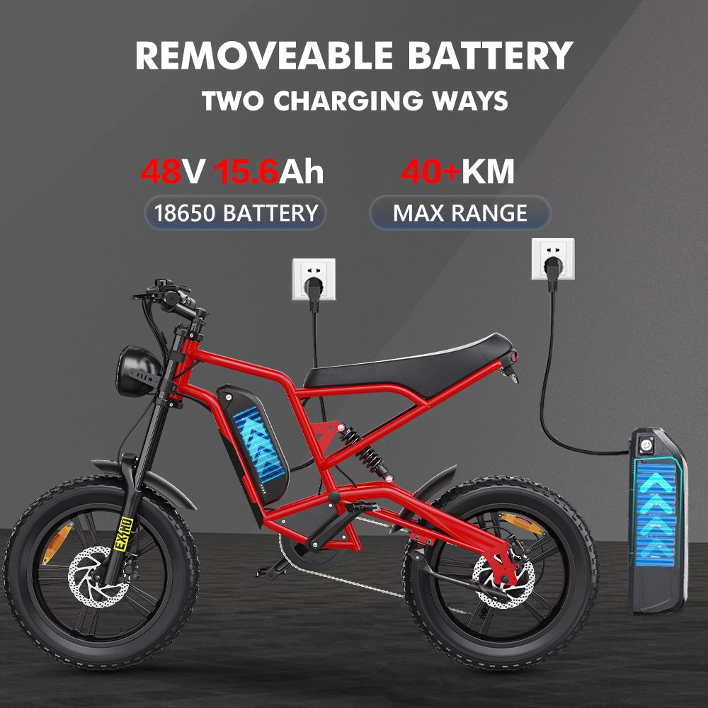 2024 newest Hidoes B6 20 inch 1200W ebike for sale electric Mountain bicycle electric Fat Tire Snow bike