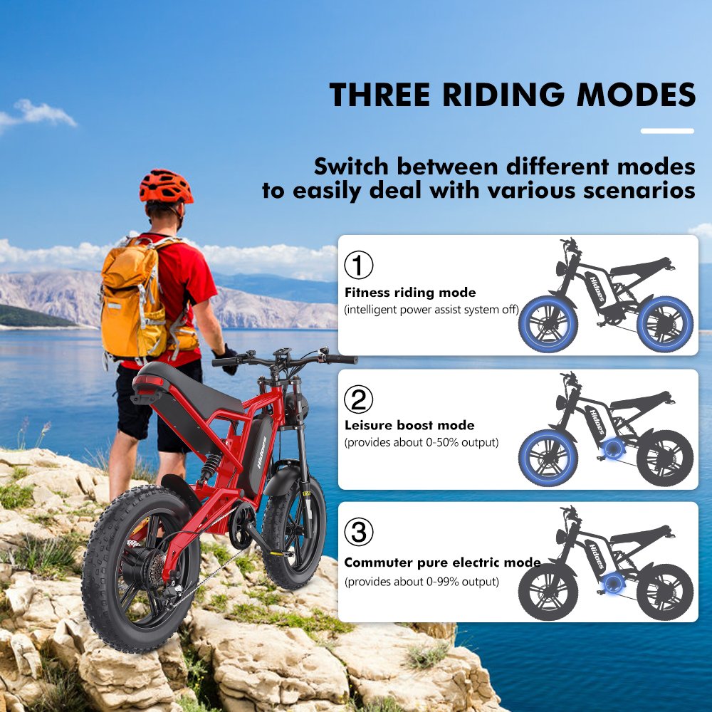 2024 newest Hidoes B6 20 inch 1200W ebike for sale electric Mountain bicycle electric Fat Tire Snow bike