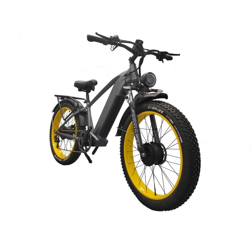 E-bike Electric Bicycle 750w 20inch Fat Tire E-bike 250w 25km/h Electric Bike Adult Fatbike