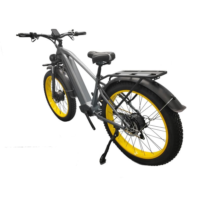 E-bike Electric Bicycle 750w 20inch Fat Tire E-bike 250w 25km/h Electric Bike Adult Fatbike