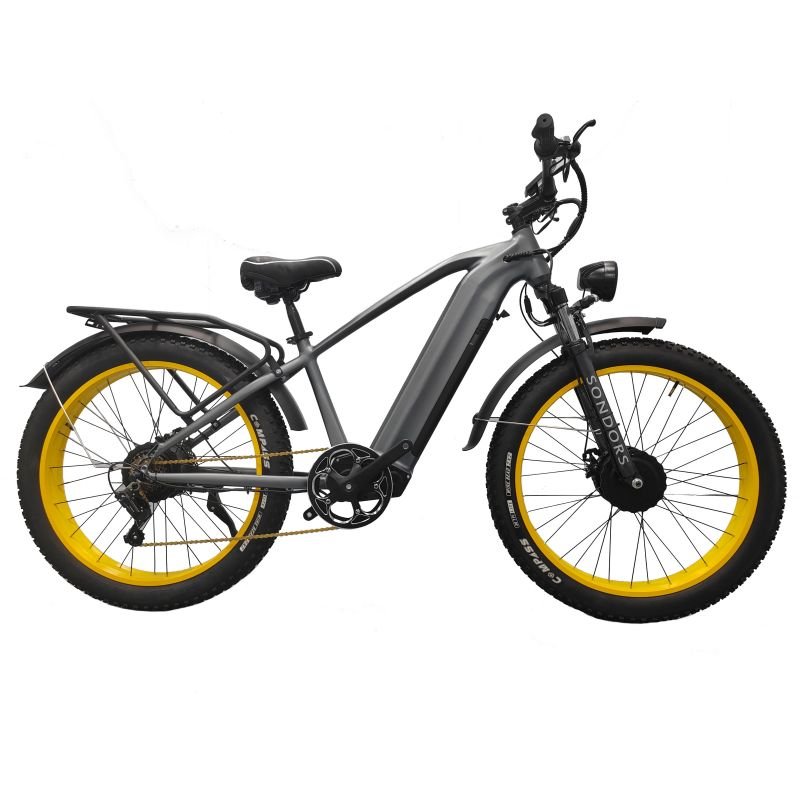 E-bike Electric Bicycle 750w 20inch Fat Tire E-bike 250w 25km/h Electric Bike Adult Fatbike