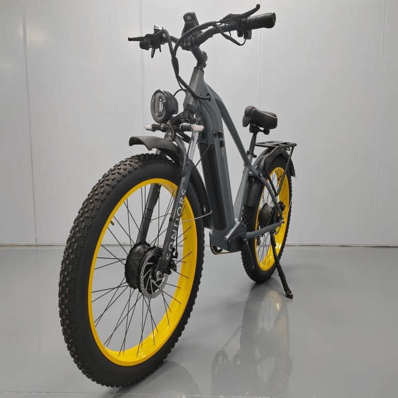 E-bike Electric Bicycle 750w 20inch Fat Tire E-bike 250w 25km/h Electric Bike Adult Fatbike