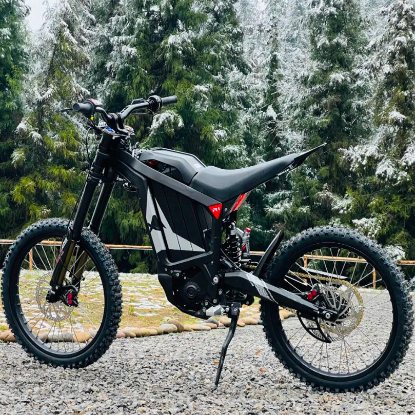 2024 Newest E motorcycle off-road Dirty Bike Racing High Speed 88km/h Rerode Light B