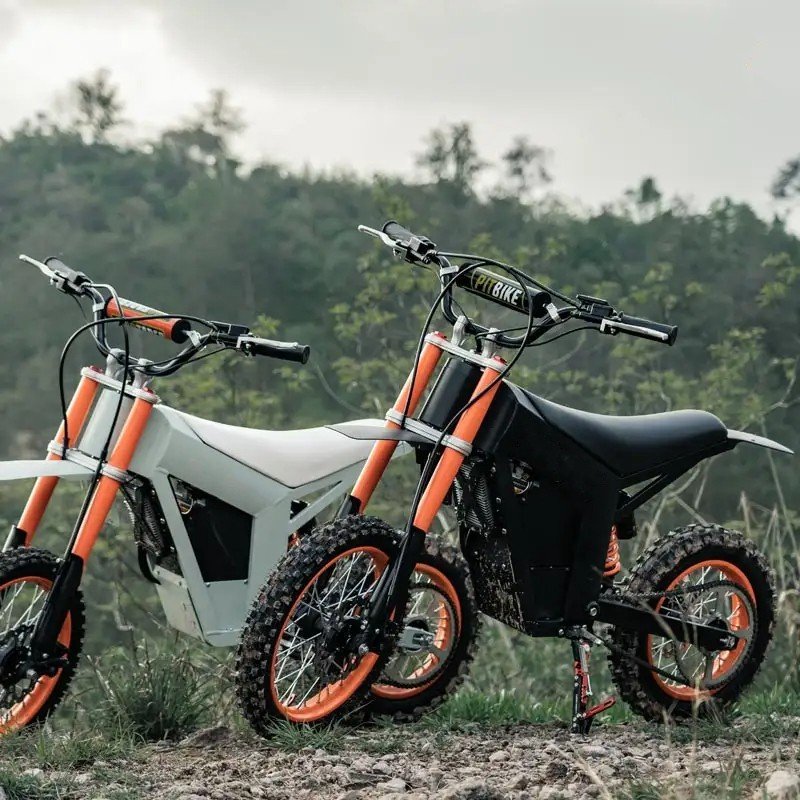 1500W 20ah 48v Racing Vintage-Style Electric Dirt Bike Full Suspension Mountain Road Electric Bike for Racing