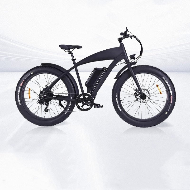 Step Over Electric Mountain Bike Mechanical Disc Brake Fat Tire Electric Mountain Bike 750W Electric Bicycle