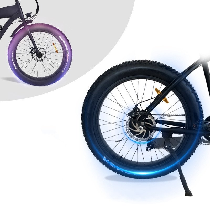 Step Over Electric Mountain Bike Mechanical Disc Brake Fat Tire Electric Mountain Bike 750W Electric Bicycle
