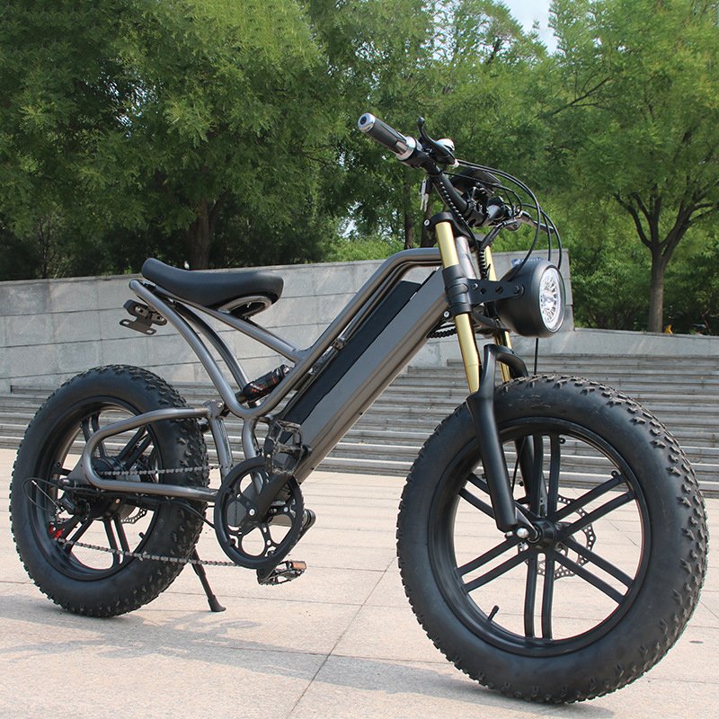 New 48v 1000w E-Bike Electric Cycle Road Dirt Fat Tire E Bike Fast Ebike Electric Mountain Bike