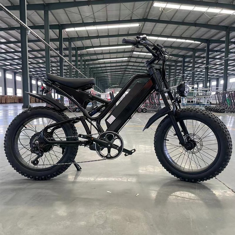 New 48v 1000w E-Bike Electric Cycle Road Dirt Fat Tire E Bike Fast Ebike Electric Mountain Bike